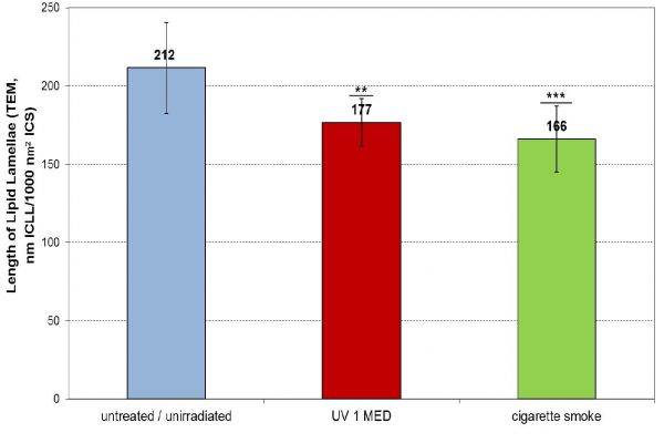 Investigation of the epidermal skin barrier 24 hours after exposure to pollutants; Skin samples in the range of 3-5 cell layers